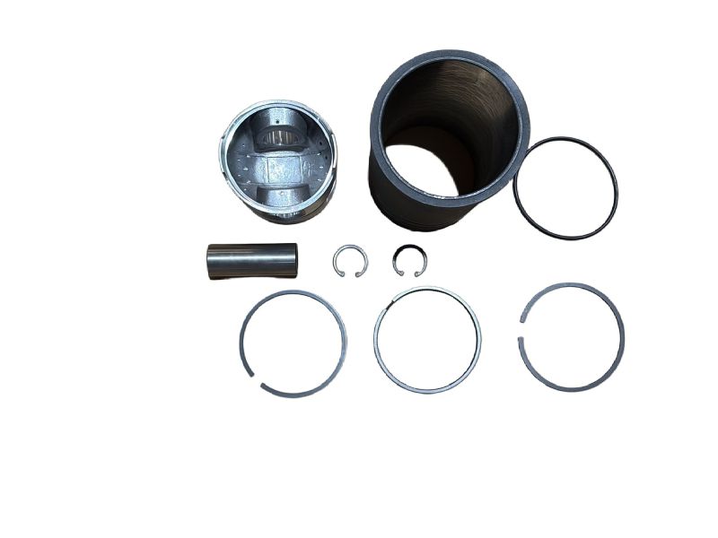 Piston and cylinder liner kit